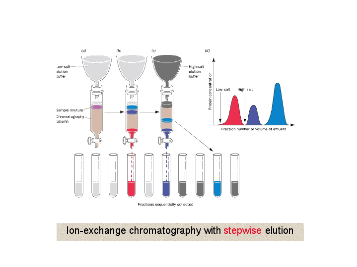 ion-exchange-chromatography-with-stepwise-elution