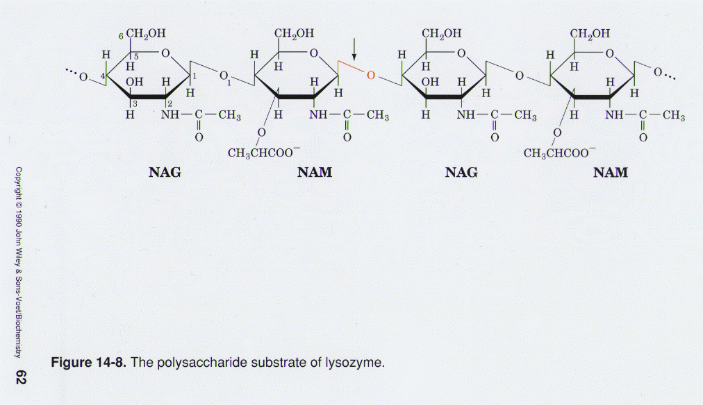 ebook atomistic