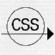 IEEE CSS