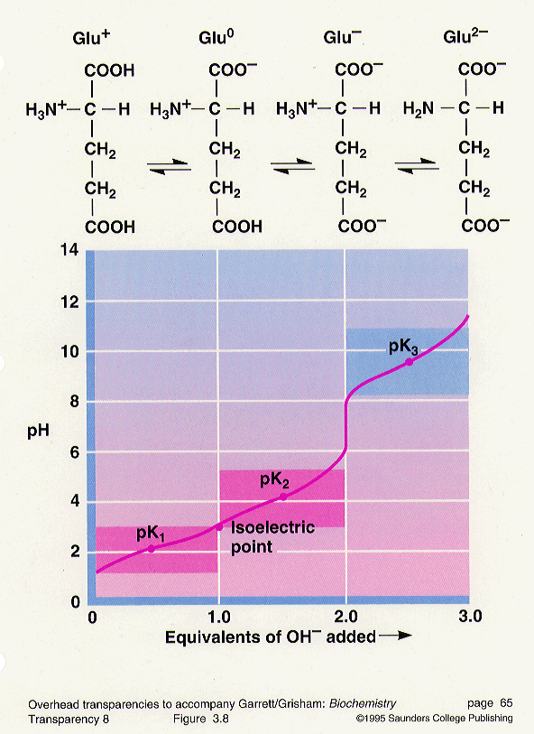 Amino Acid Ph Chart