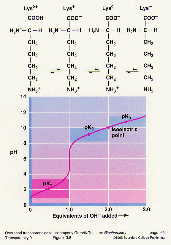 titration biochemistry