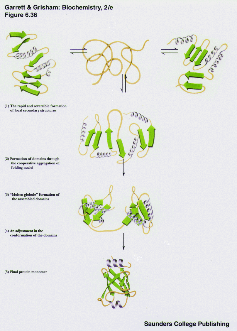 Biochemistry.