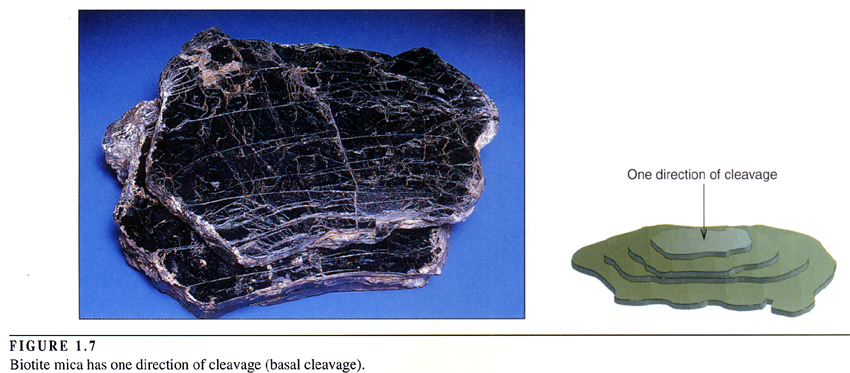 https://www3.nd.edu/~cneal/planetearth/Lab-Mineral-ID/Fig1.7CleavageBiotite.jpg