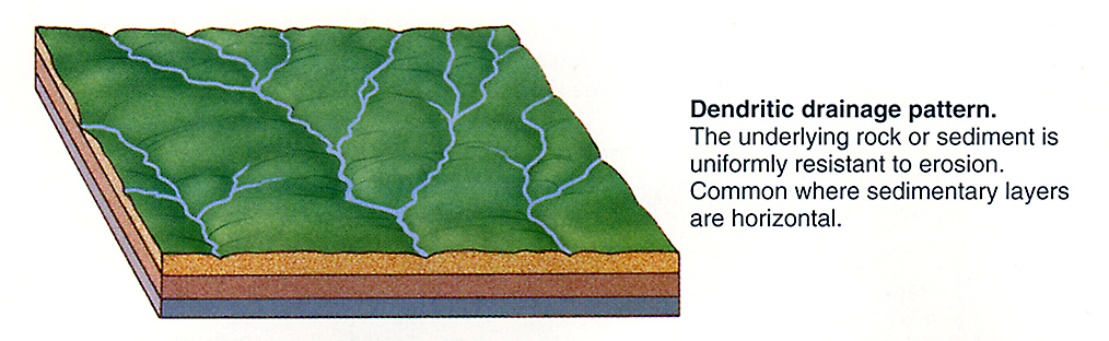 Dendritic Drainage Pattern