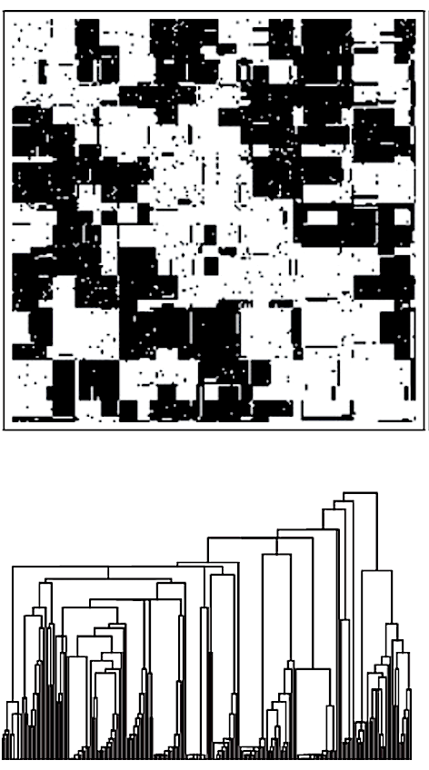 Evolution of Complexity1