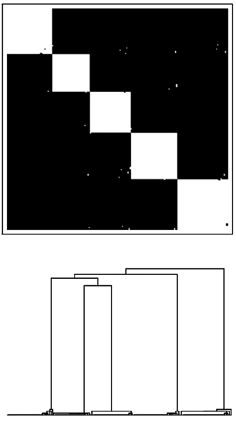 Evolution of Complexity 2