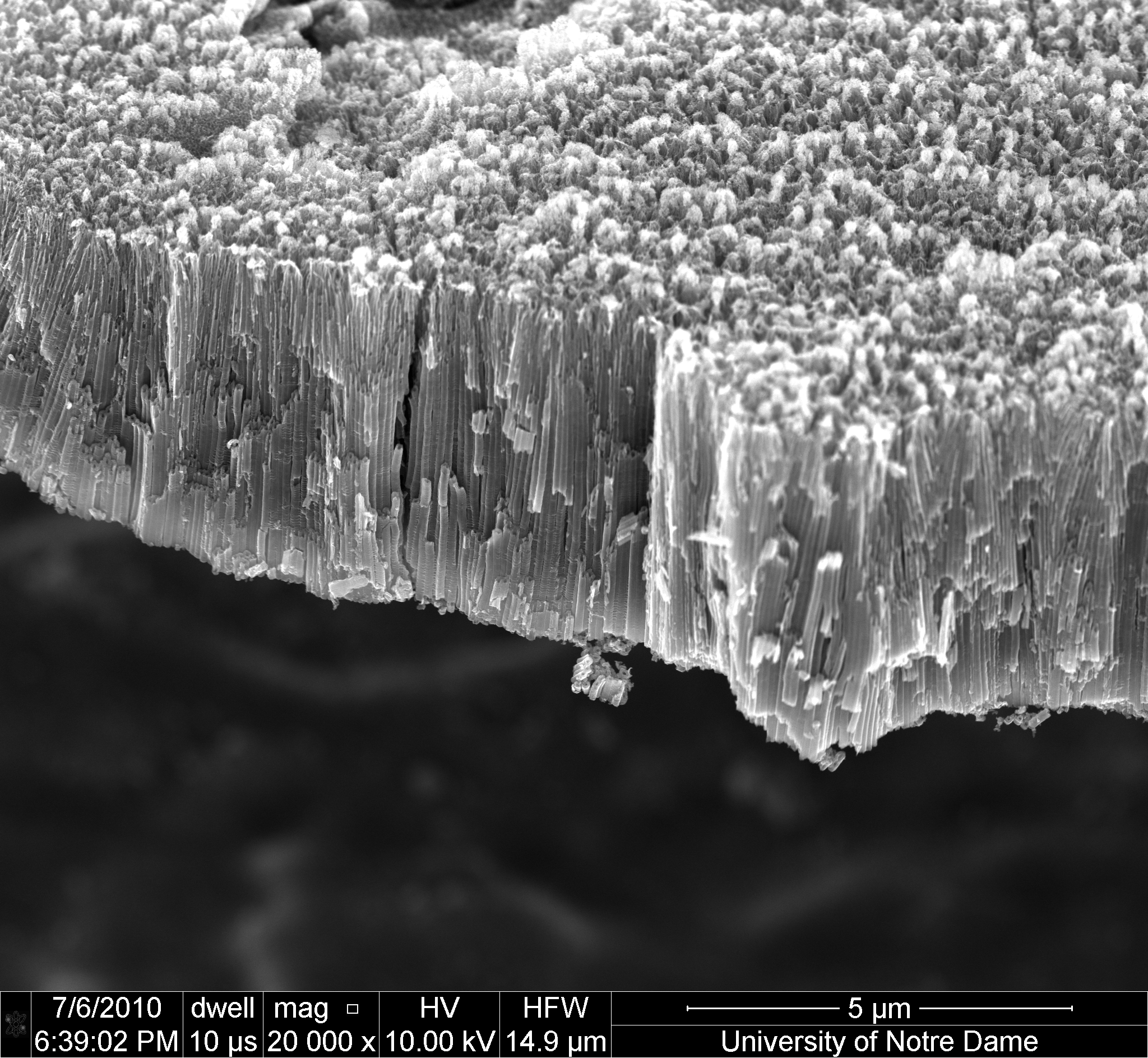 Scanning Electron Microscope (SEM) image of TiO2 nanotubes grown by anodic etching