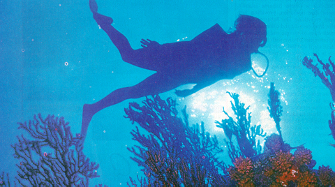 Undersea SCUBA Diver