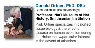 ￼
Donald Ortner, PhD, DSc
Guest Scientist  [Paleopathology]
Professor; Nat’l Museum of Nat. History, Smithsonian Institution

Prof. Ortner specializes in calcified tissue biology & the effect of disease on human evolution during the Holocene, w/particular interest in the advent of urbanism.