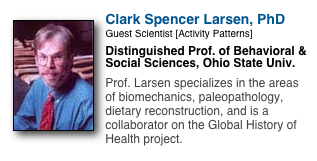 ￼
Clark Spencer Larsen, PhD
Guest Scientist [Activity Patterns]
Distinguished Prof. of Behavioral & Social Sciences, Ohio State Univ.

Prof. Larsen specializes in the areas of biomechanics, paleopathology, dietary reconstruction, and is a collaborator on the Global History of Health project.