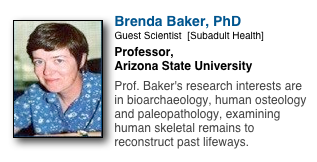 ￼
Brenda Baker, PhD
Guest Scientist  [Subadult Health]
Professor, 
Arizona State University

Prof. Baker's research interests are in bioarchaeology, human osteology and paleopathology, examining human skeletal remains to reconstruct past lifeways.