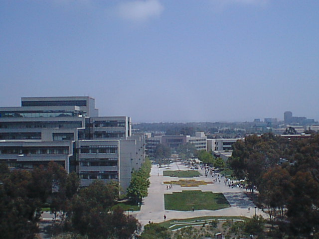 98_c00046.jpg